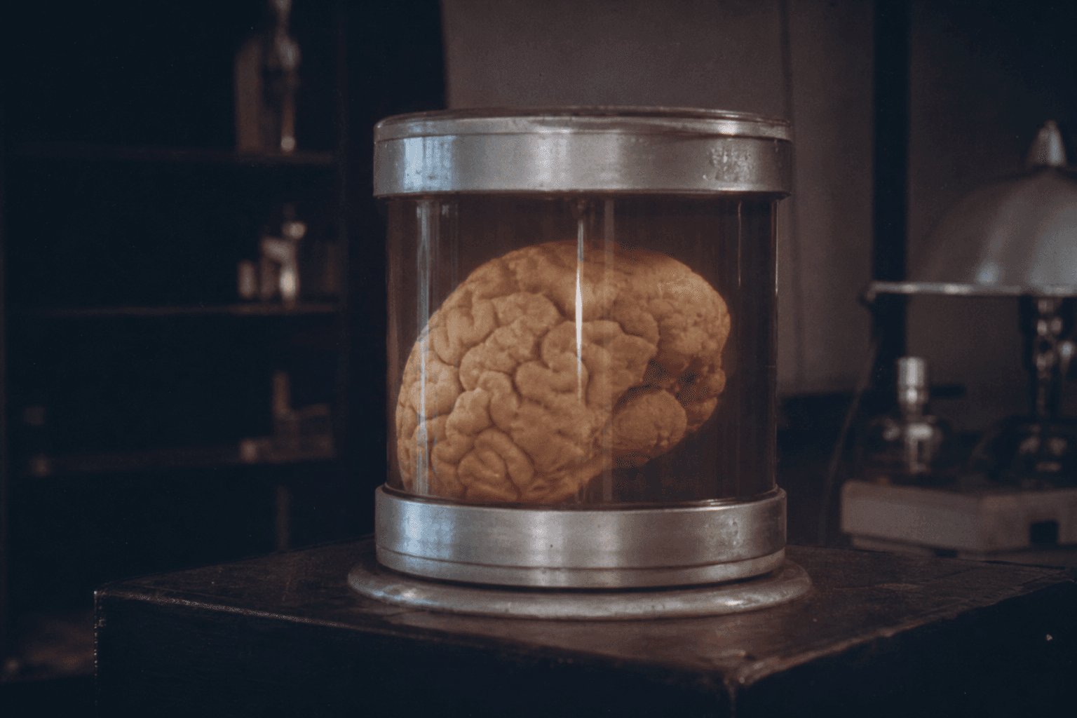Brain Cylinder