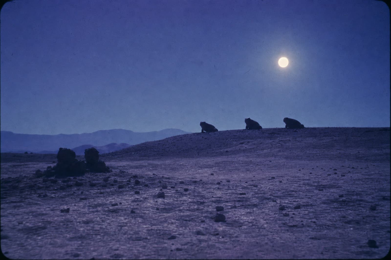 Moon Beasts
