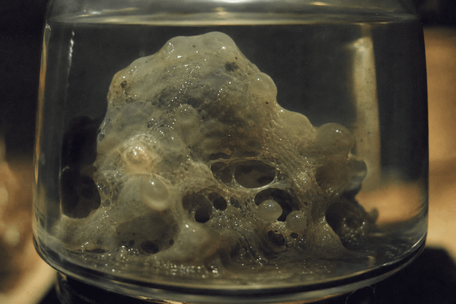 Shoggoth - Evidence 1 — Miskatonic Expedition archive dossier