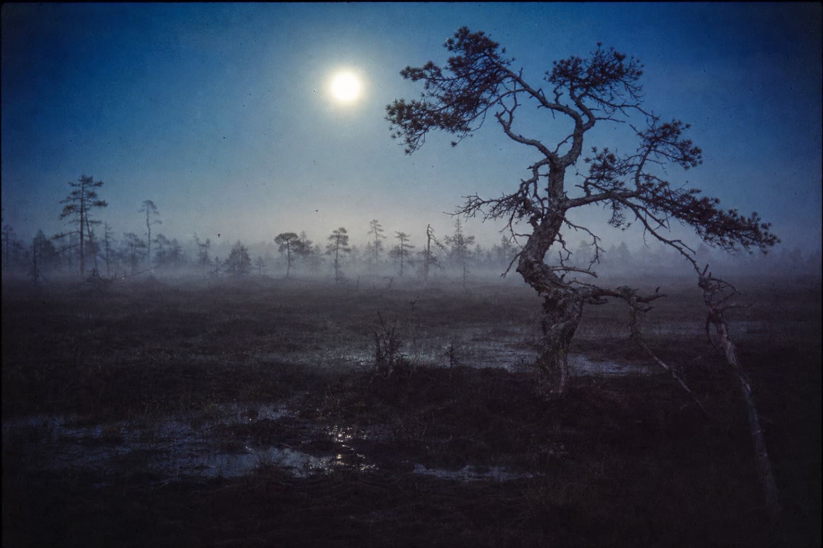 The Moon-Bog — Miskatonic Expedition archive dossier