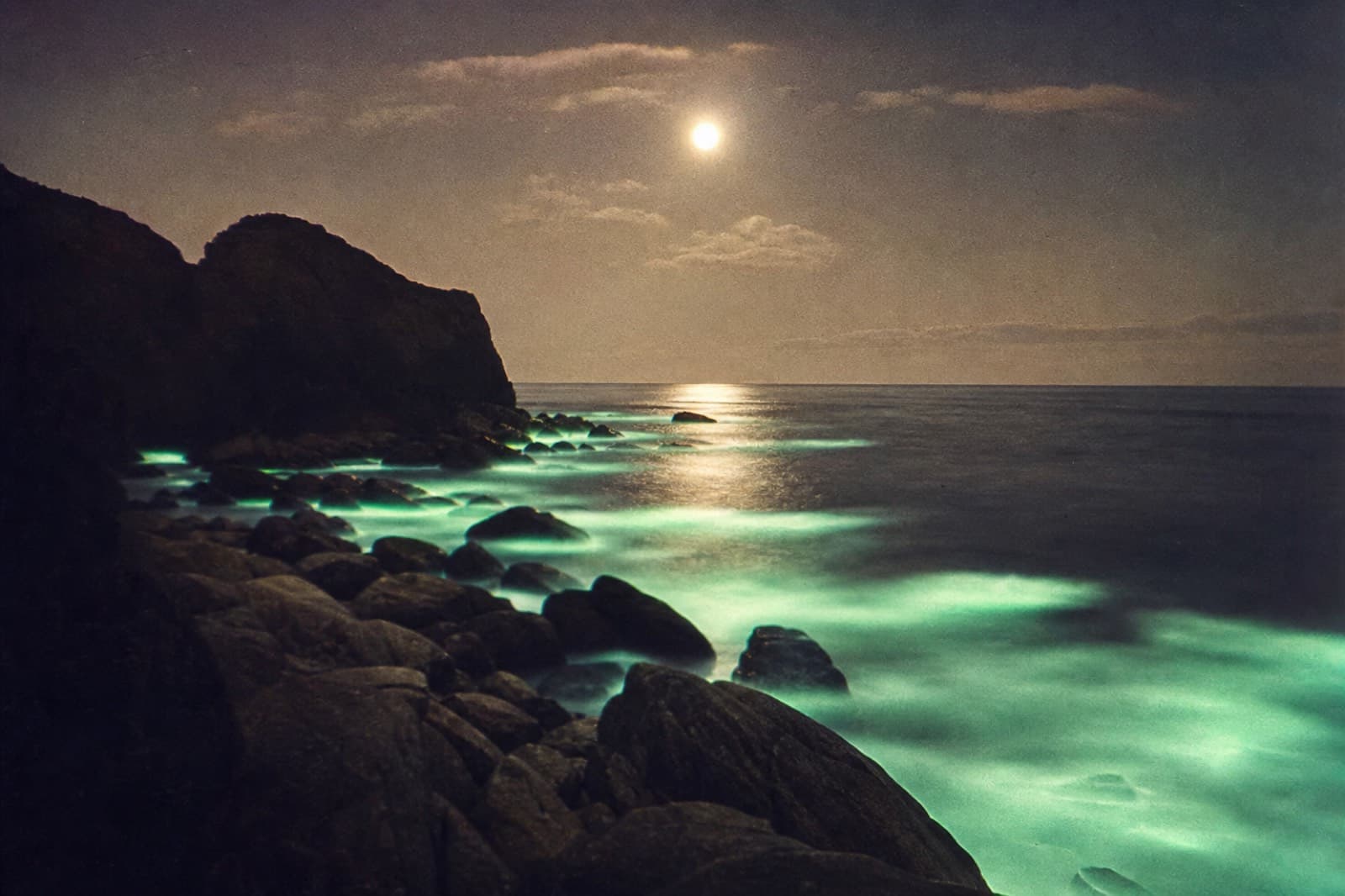 What the Moon Brings