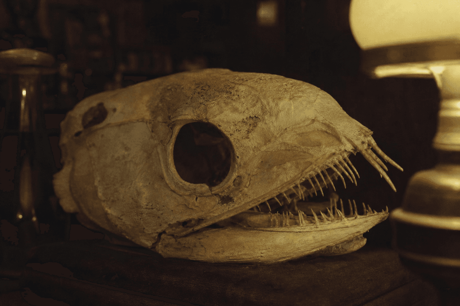Dagon and Other Macabre Tales - Evidence 1 — Miskatonic Expedition archive dossier
