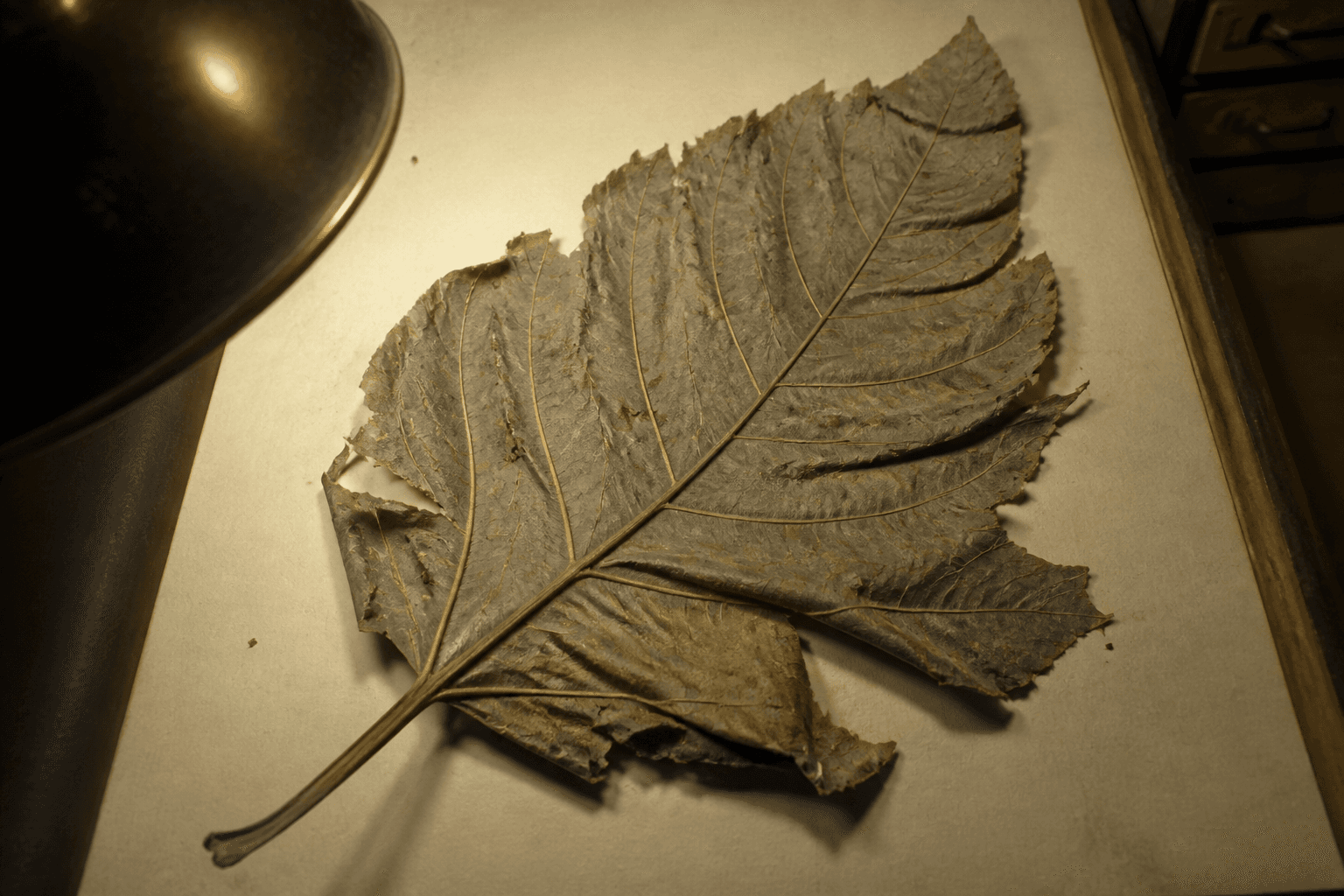 The Colour Out of Space - Evidence 2 — Miskatonic Expedition archive dossier