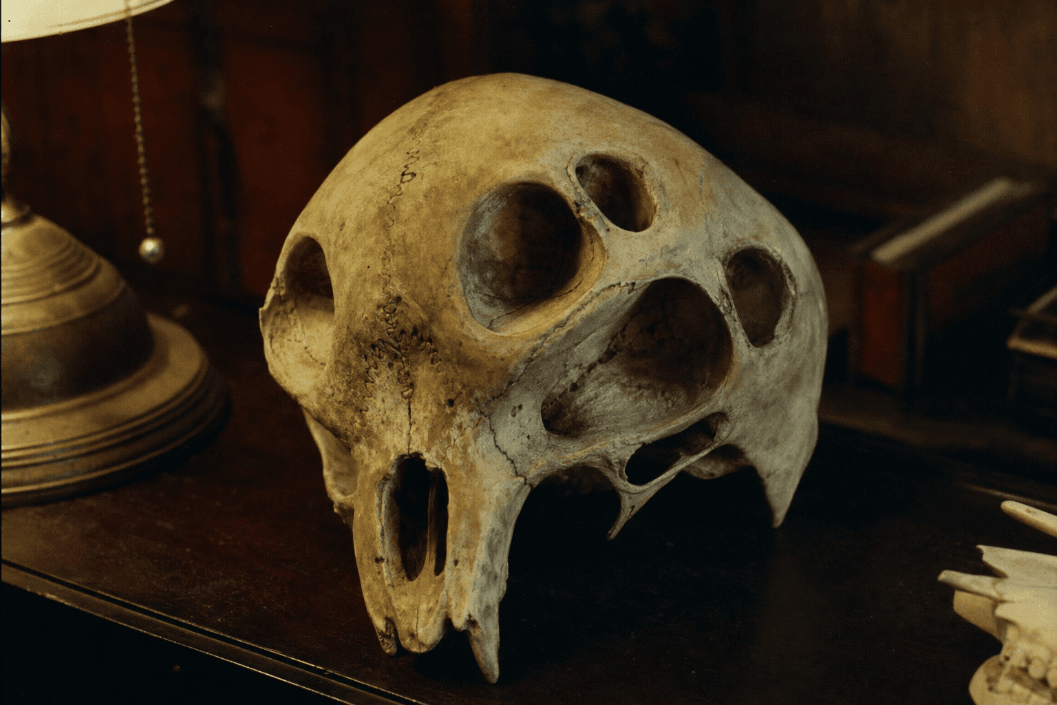 The Horror in the Museum - Evidence 1 — Miskatonic Expedition archive dossier